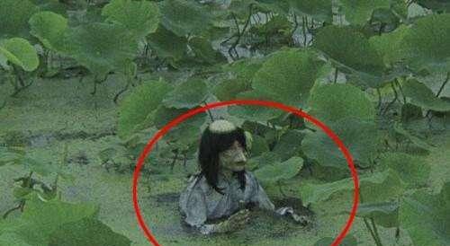 防弹背心无效？僵尸毁灭工程揭秘！