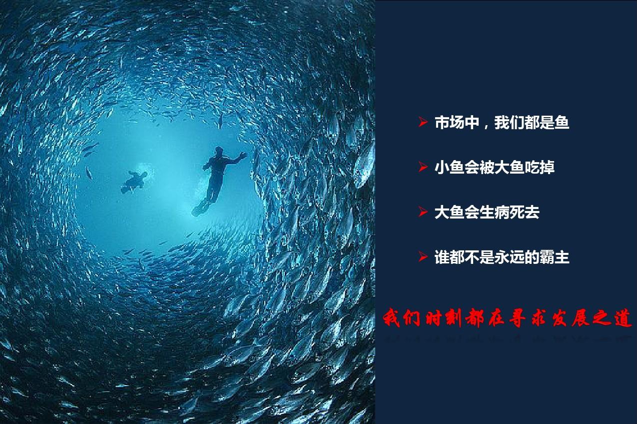 大鱼吃小鱼游戏2_大鱼吃小鱼的试玩游戏_大鱼吃小鱼单机