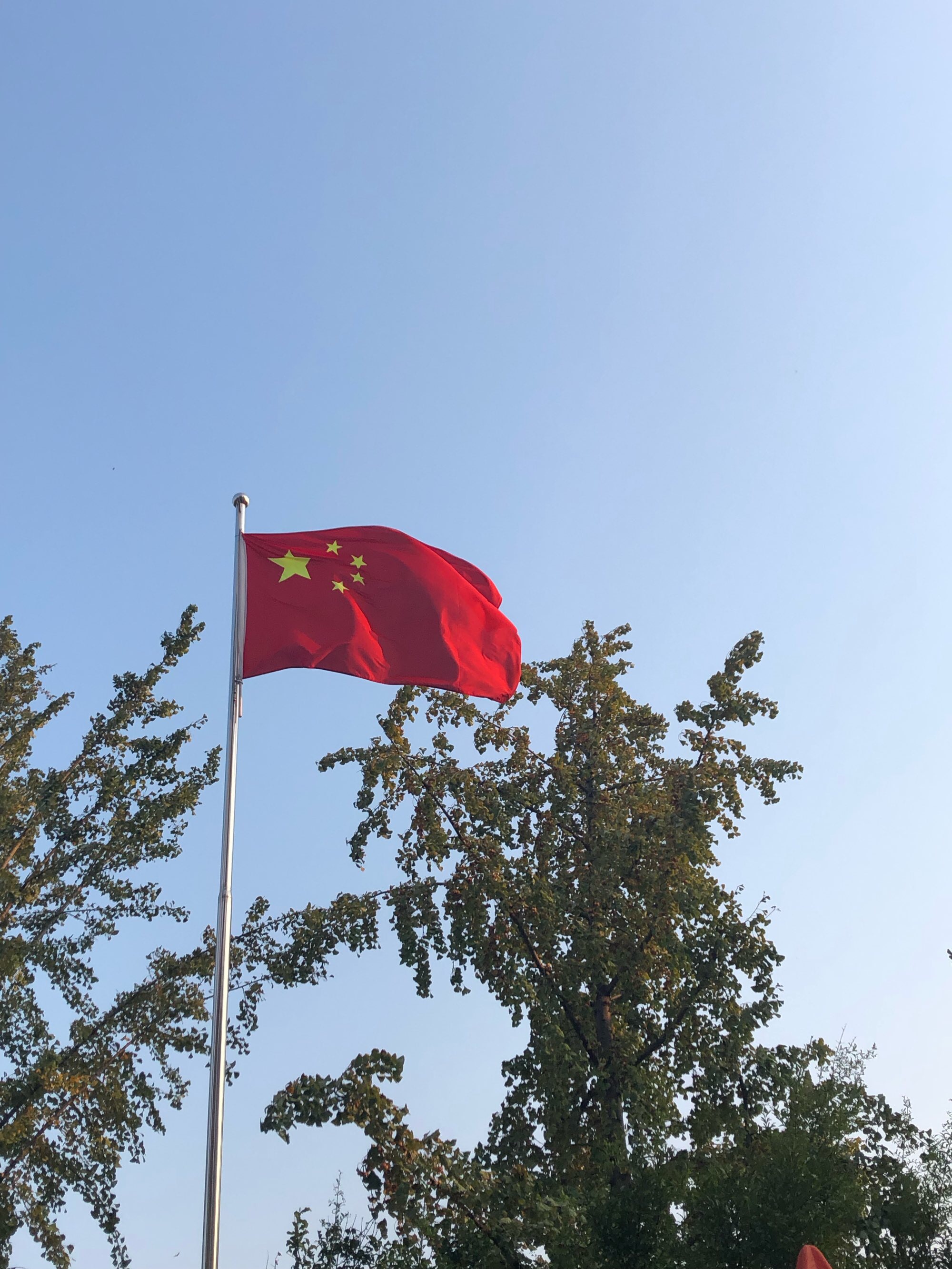 小学国旗下讲话开学第一天_小学开学第一天国旗下讲话_国旗下讲话小学开学第一课