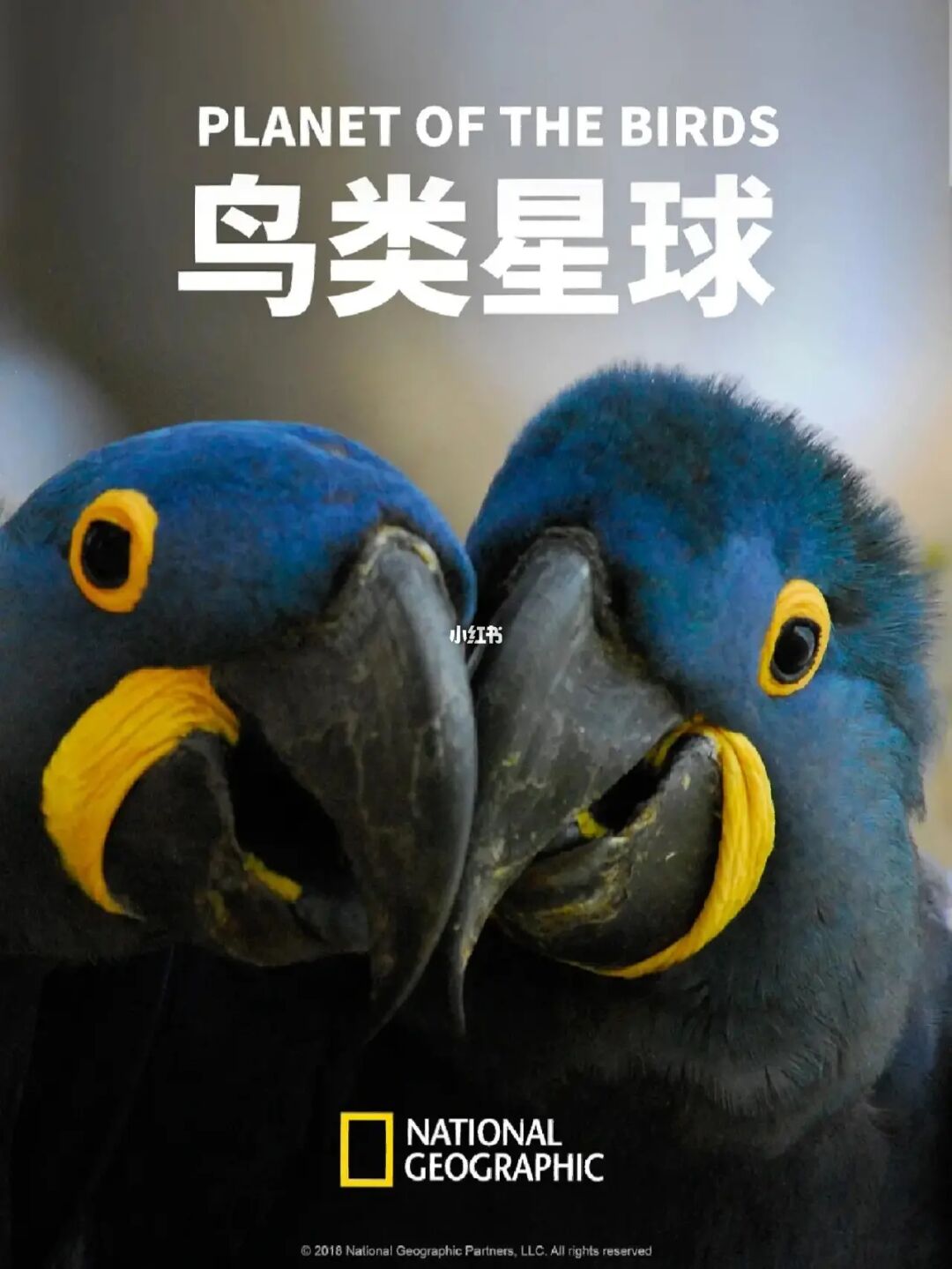 小编探测到惊喜发现！