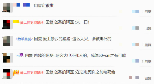 神武法宠怎么加点_神武法宠打书顺序_神武3为什么没人带法宠