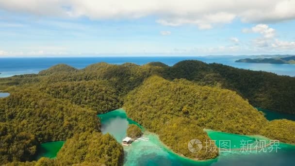我是小岛_小岛是哪个城市_小岛是怎么形成的