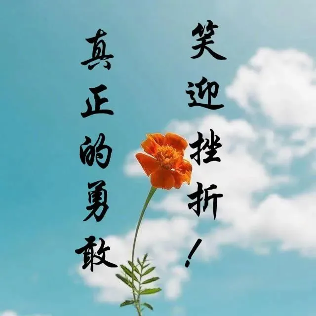 柳岩生活素颜照图片_生活照女_生活大爆炸谢尔顿照
