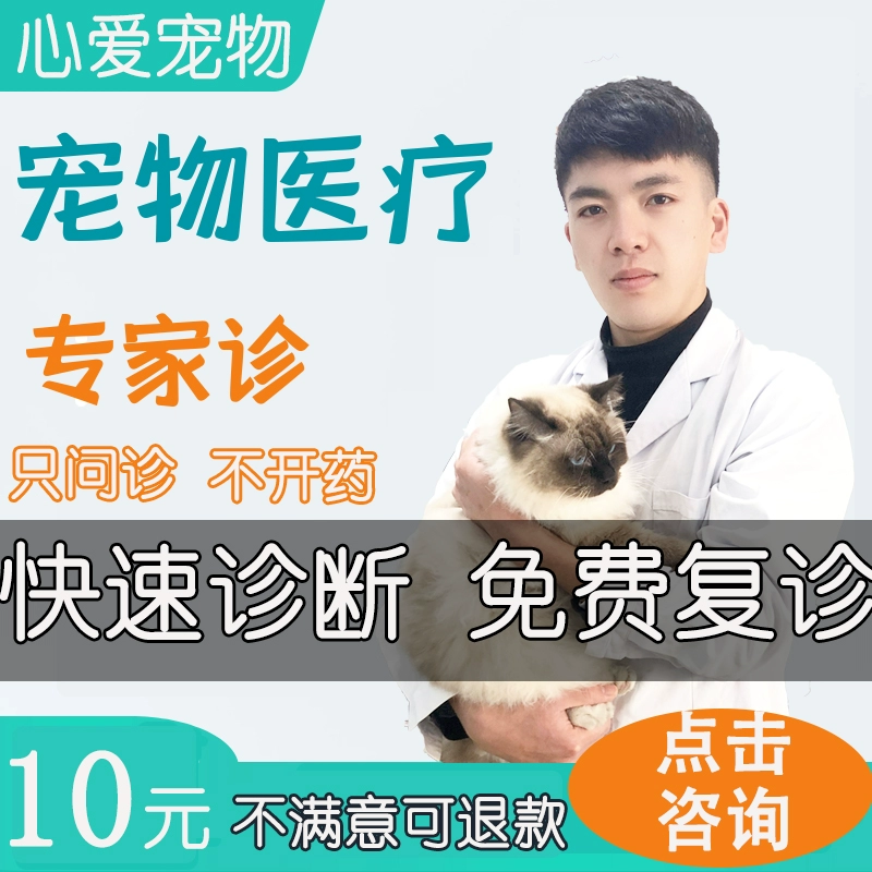 沈阳宠物医院大全网_沈阳不孕不育医院网_沈阳武警总队医院官网