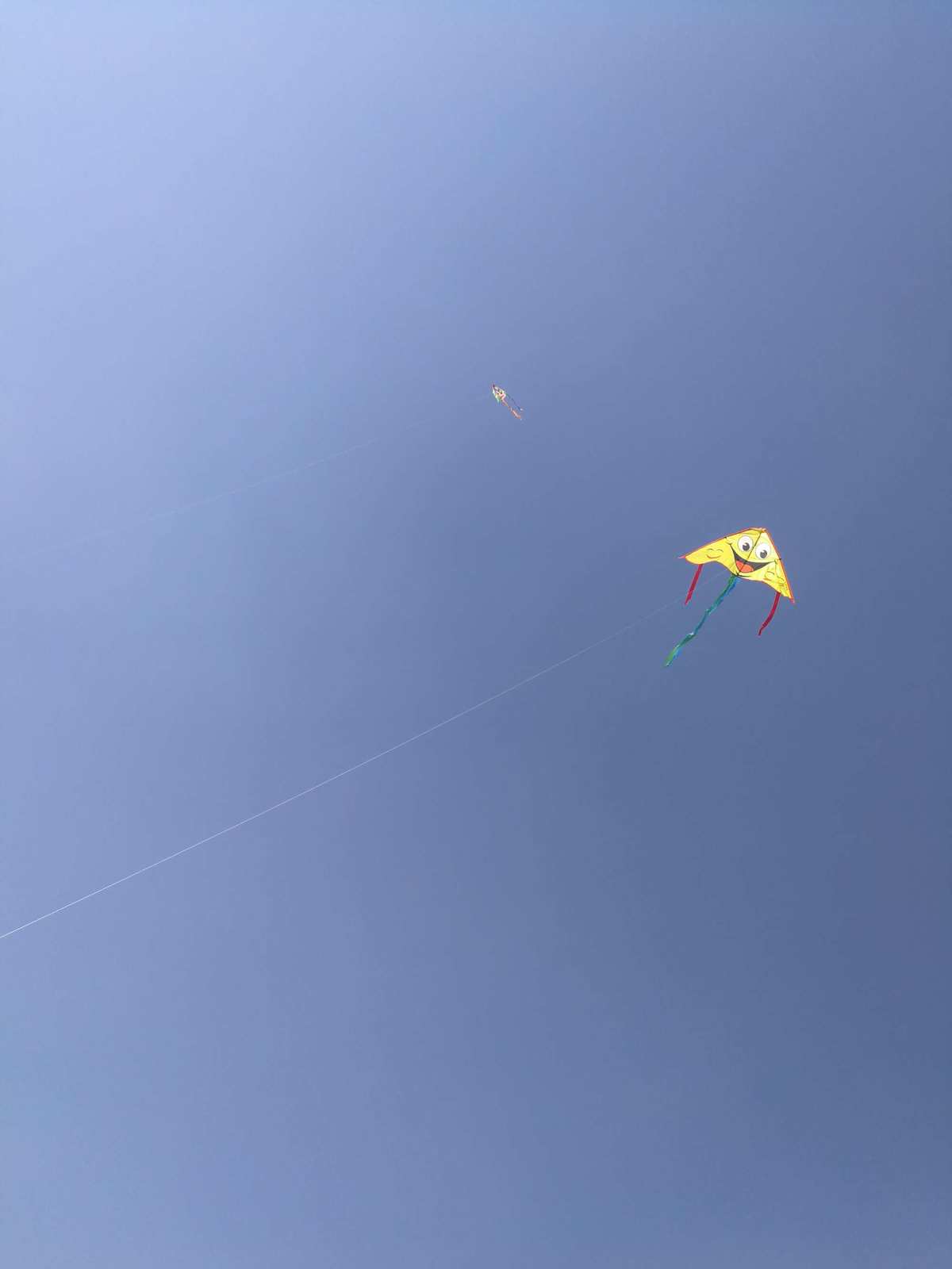 天空之舞的游戏_天空舞者中文版破解版下载_天空舞者官方下载