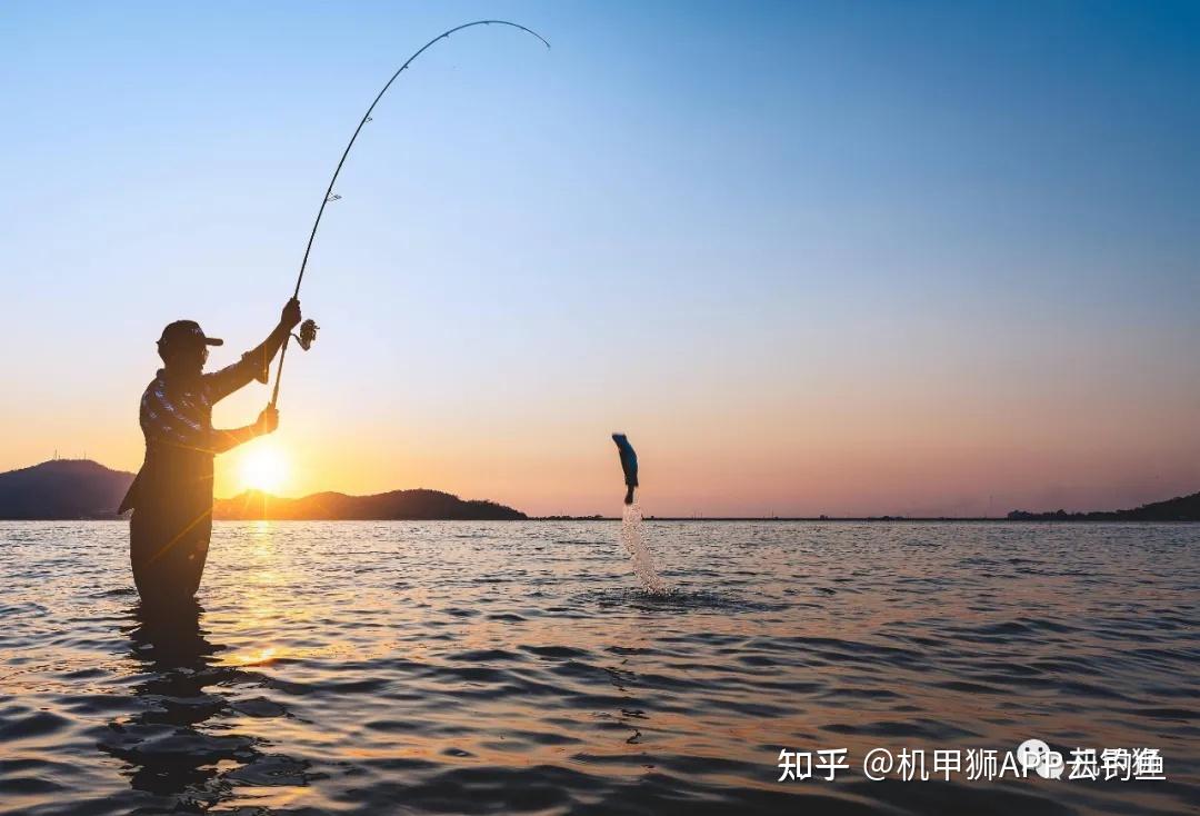 深海垂钓攻略大全_深海垂钓攻略视频_深海垂钓攻略