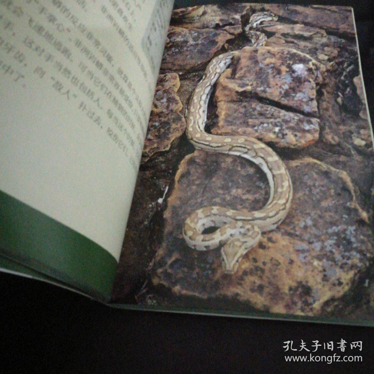 hp我和蛇院有个约会 上_蛇光院三郎体育会系_hp七夜谈+司泽院蓝