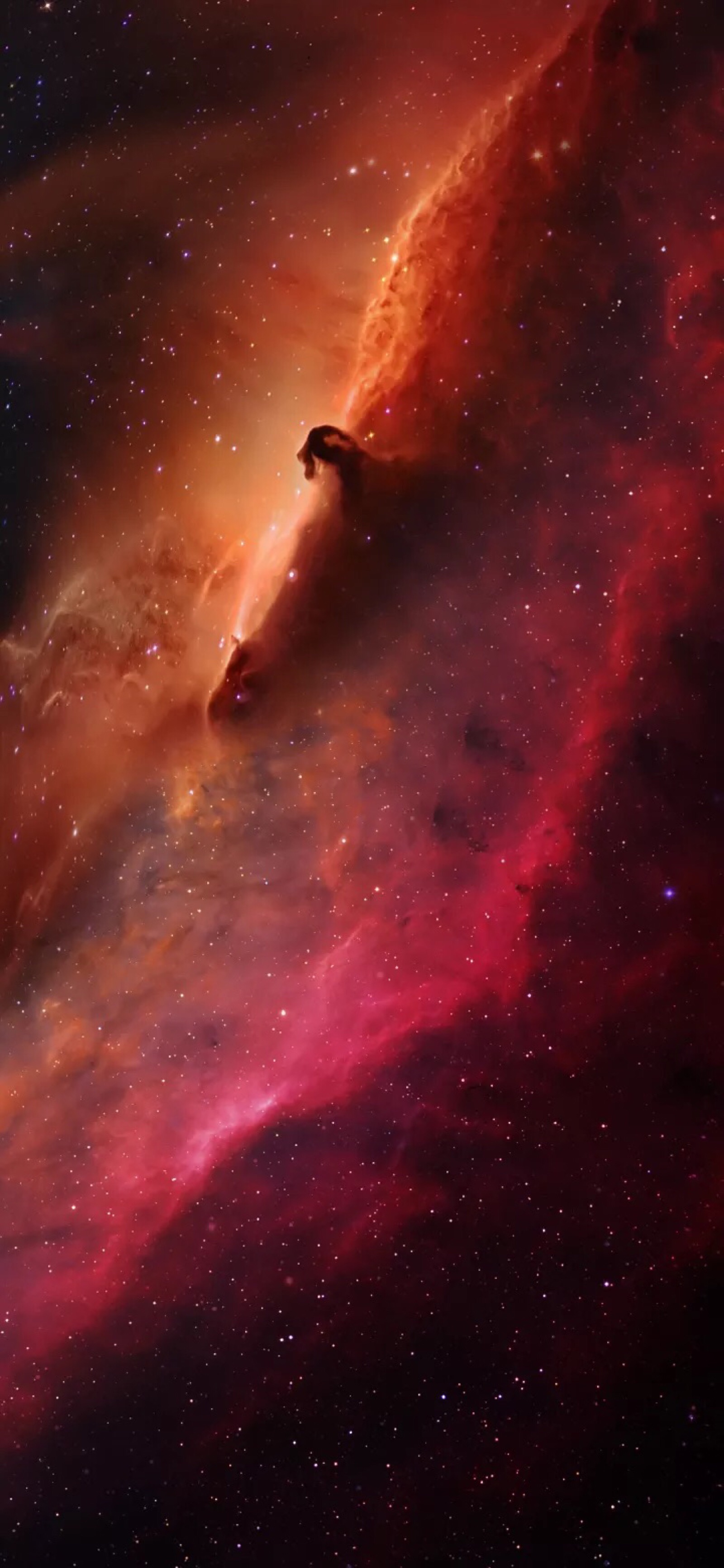 星空架桥第一集_向星空架桥_架向星空之桥aa cg