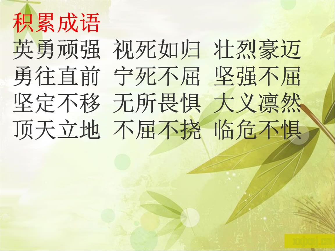 兔虎成语大全四字成语_带兔字和虎字的成语_带虎兔字的成语