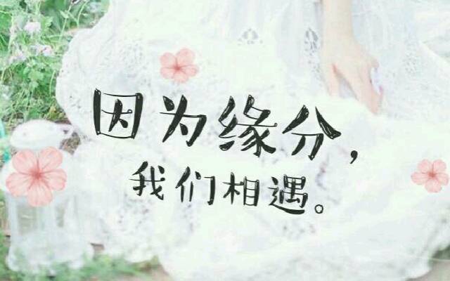 缘分率怎么算_缘分指数测试_缘分指数