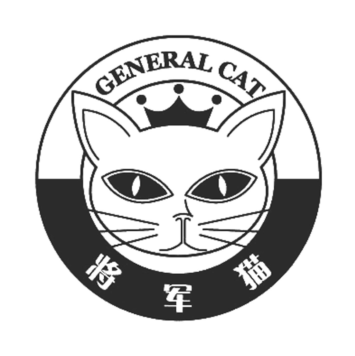 将军猫图片_猫将军_将军猫是指哪个生肖