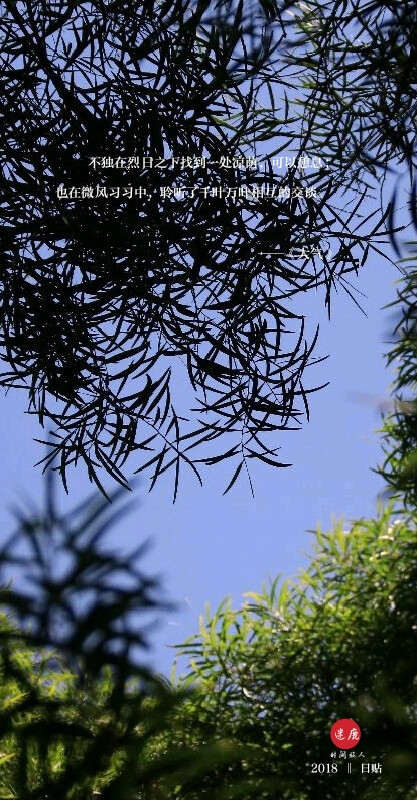 江风穿越成老虎的小说_江风鱼火对愁眠的对是什么诗_江风