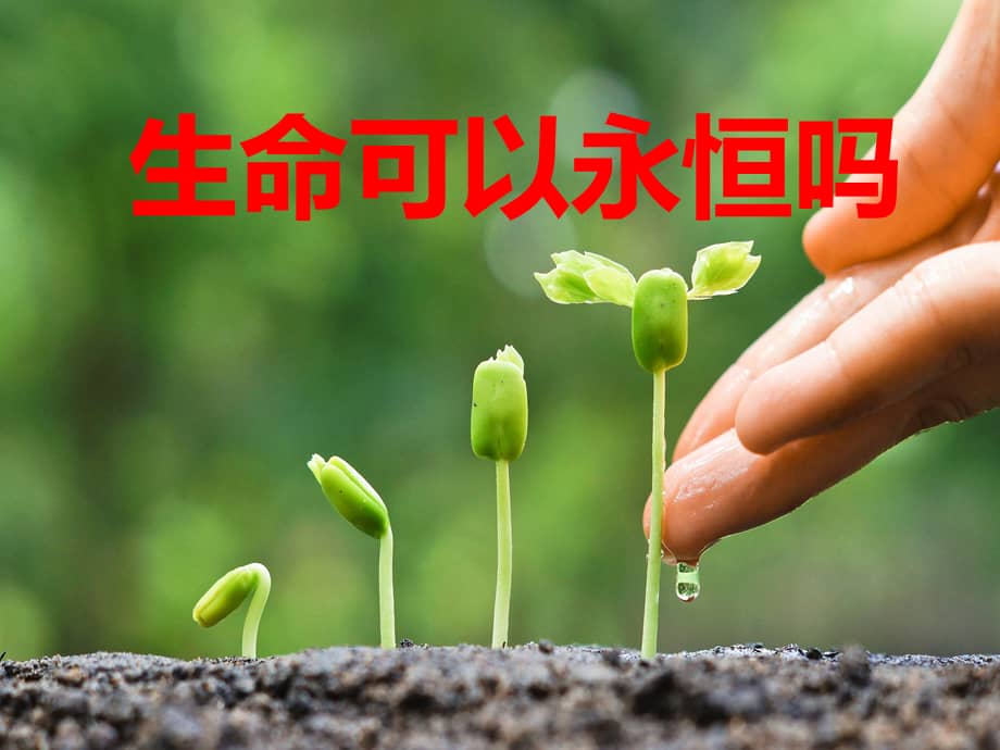 永远是什么意思_意思是的英文_意思是什么生肖