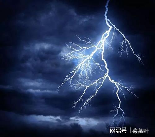 雷罡紫砂_雷罡神木_雷罡