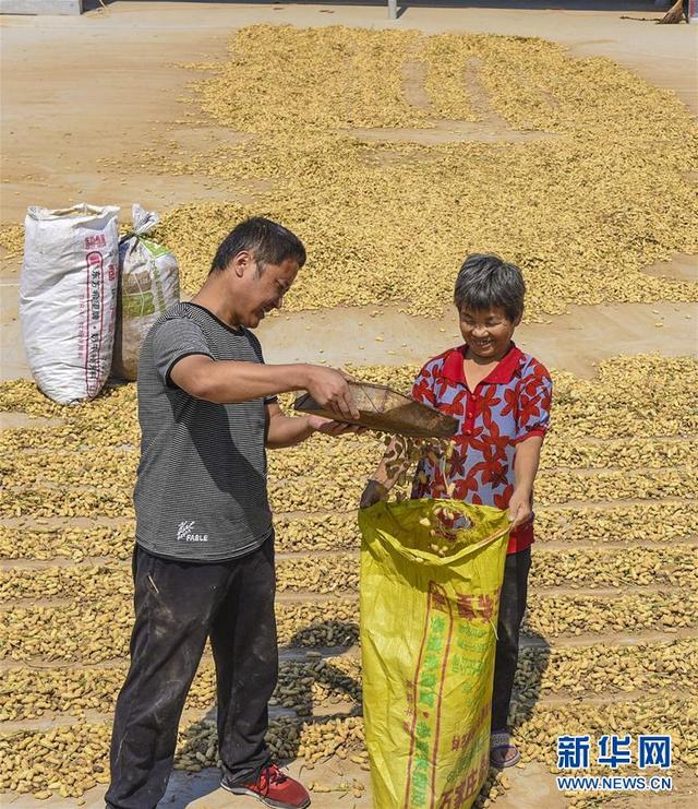 冀云武安app下载_冀云武强下载_冀云武安下载