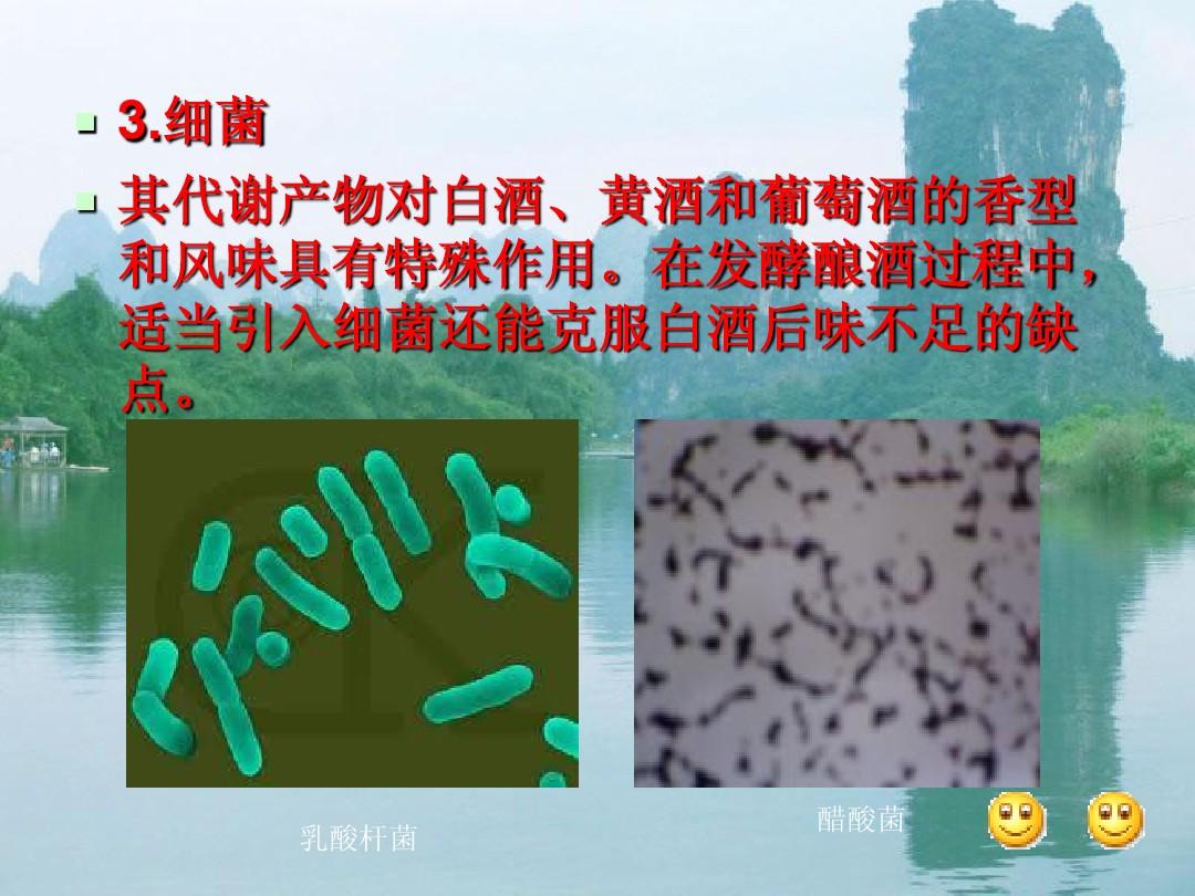 酱香型白酒酿造过程产乳酸菌关键微生物_乳酸菌在酿酒中的作用_生产乳酸的菌种