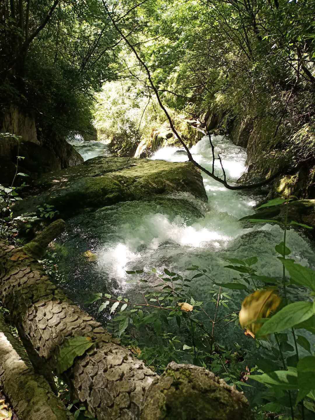 化神境_神仙道血脉化神技巧_桂林大野神境景区