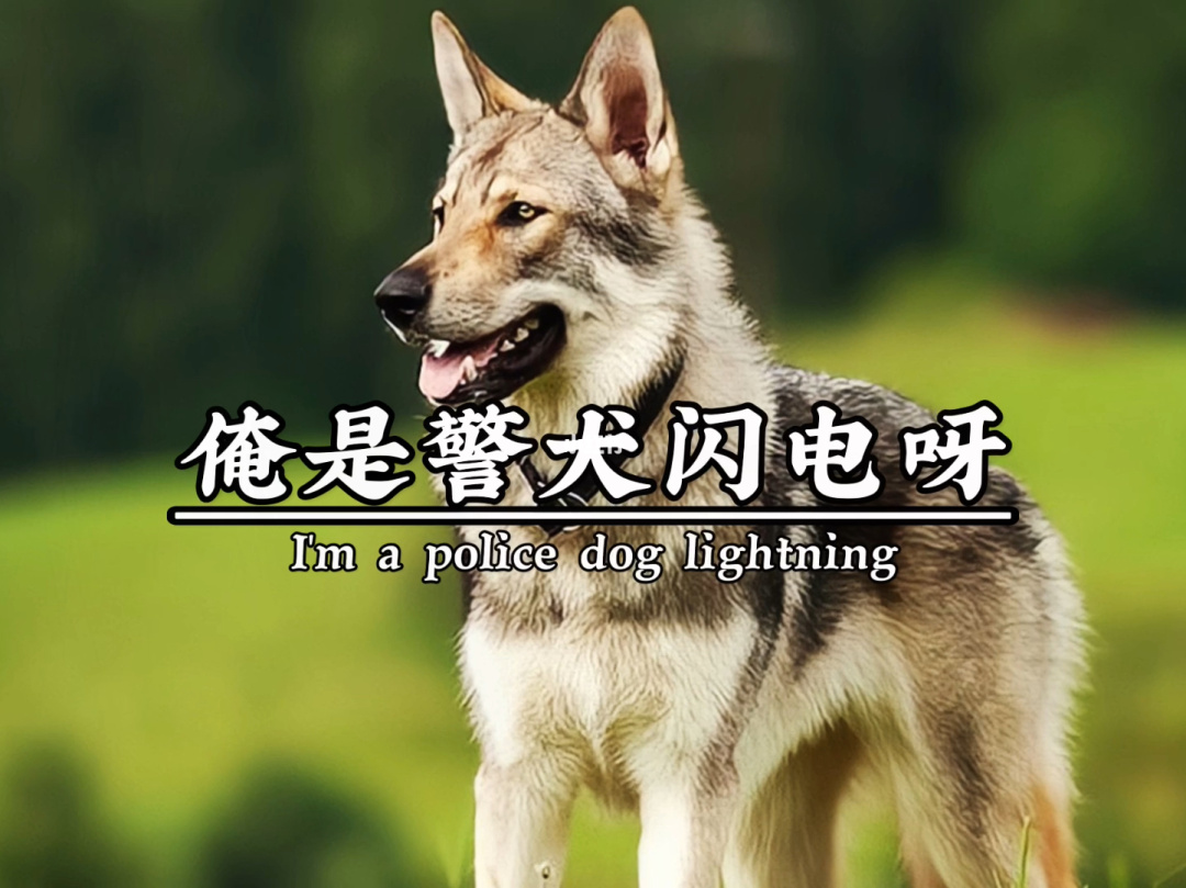 今日新鲜事儿_今日新鲜一事冫_今日新鲜今事