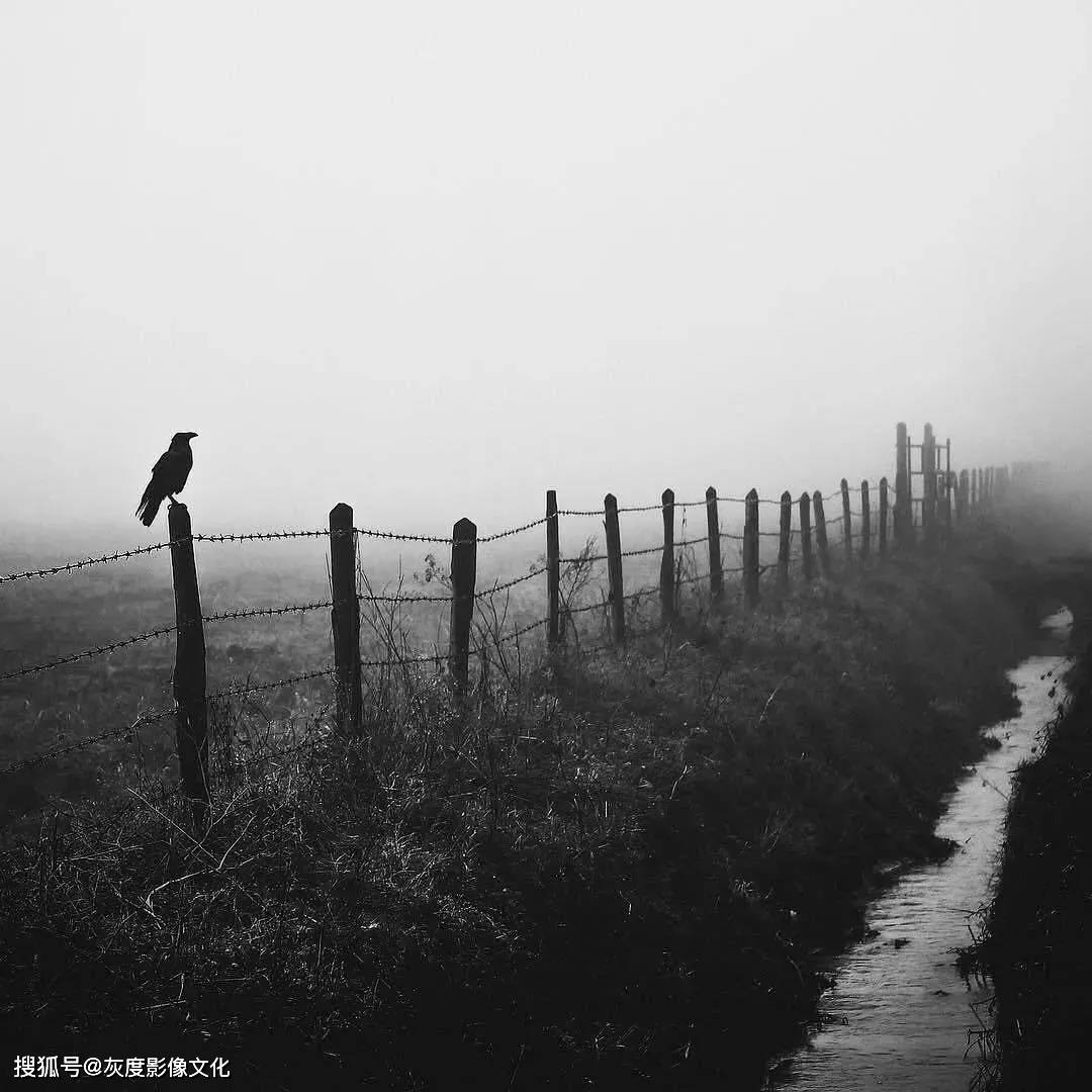 宵待闲话_李大宵_待宵