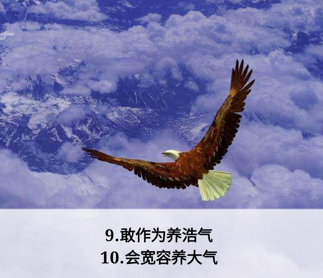 那须川天心_那须五针松_那须与一