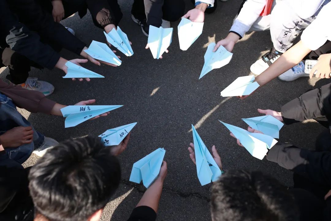 赛级德牧_赛级金毛_赛级
