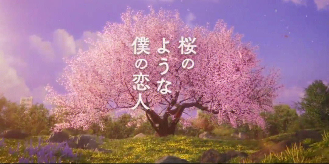 樱花乱百度影音_濑名樱花影音先锋资源_樱花影音