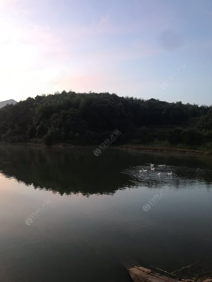 侠客风云传杭州鱼叟在哪_侠客风云传钓鱼_侠客风云传鱼怎么钓