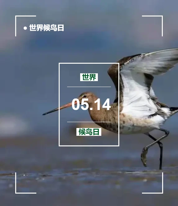 走步运动计步器下载_运动下载走步计步器app_运动下载走步计步器怎么用