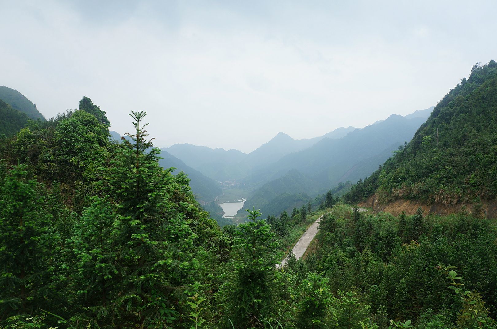 高峯翠_高峯翠_高峯翠
