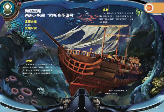 新手怎么采海灵芝_海灵芝在哪捡_海灵芝采集路线