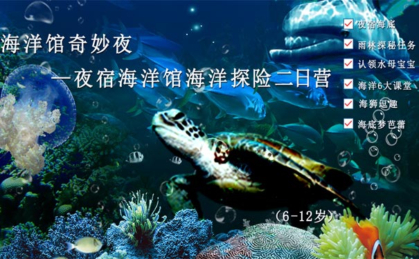 新手怎么采海灵芝_海灵芝在哪捡_海灵芝采集路线