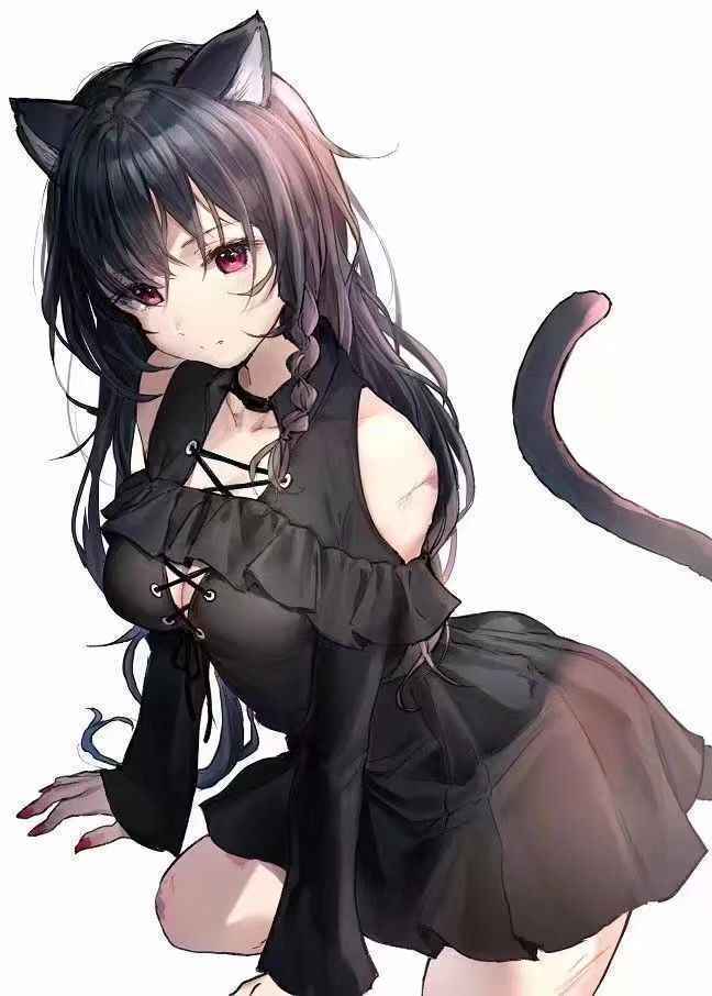 黑猫动漫_黑猫动漫_黑猫动漫