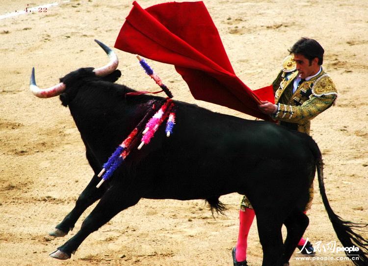 女斗牛士_斗牛士代表什么意思_斗牛士斗的是什么牛