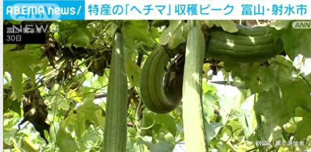 丝瓜app在线观看_丝瓜app在线观看_丝瓜app在线观看