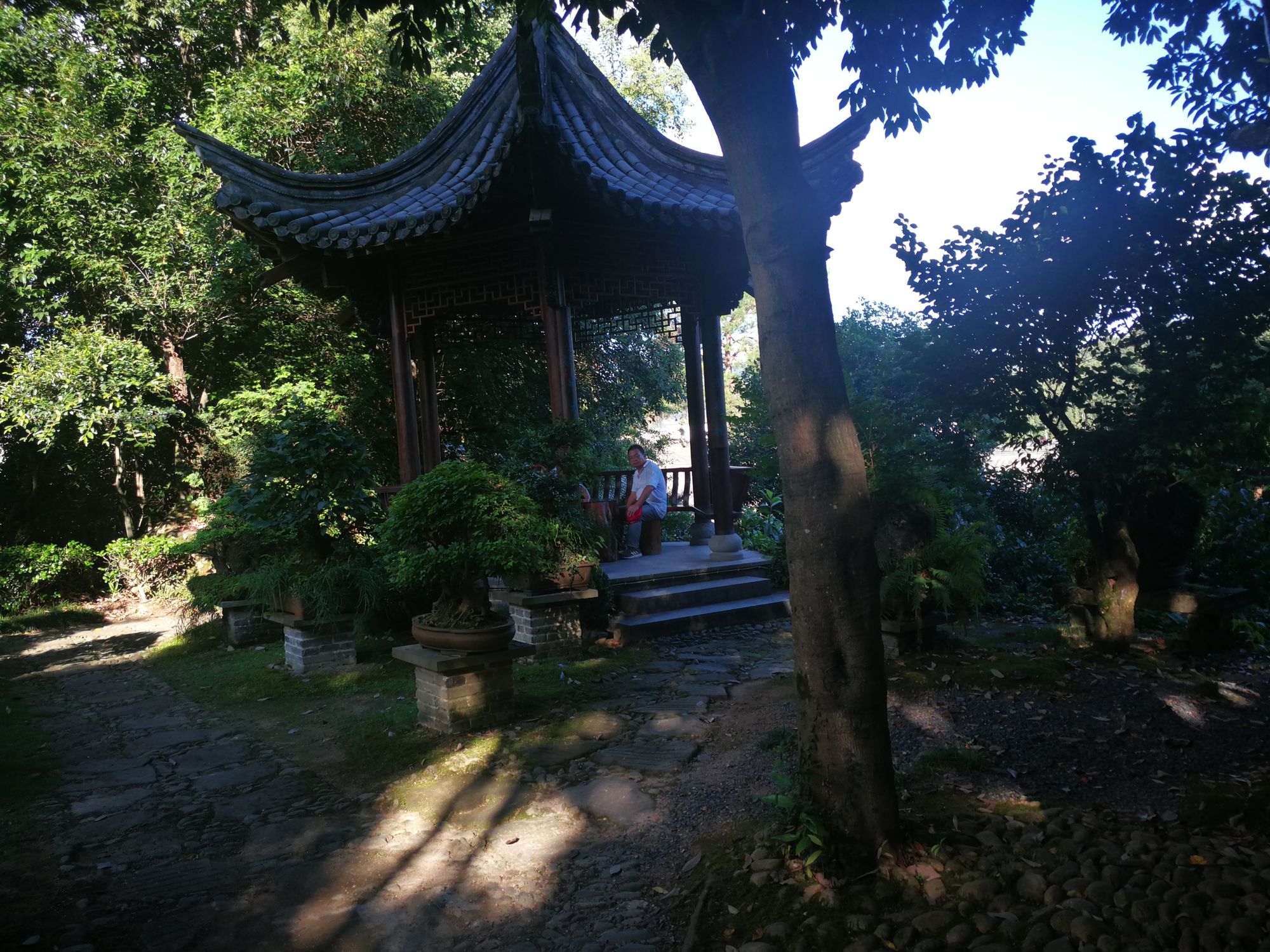 月华下的约会_月华的约会_约会在线听