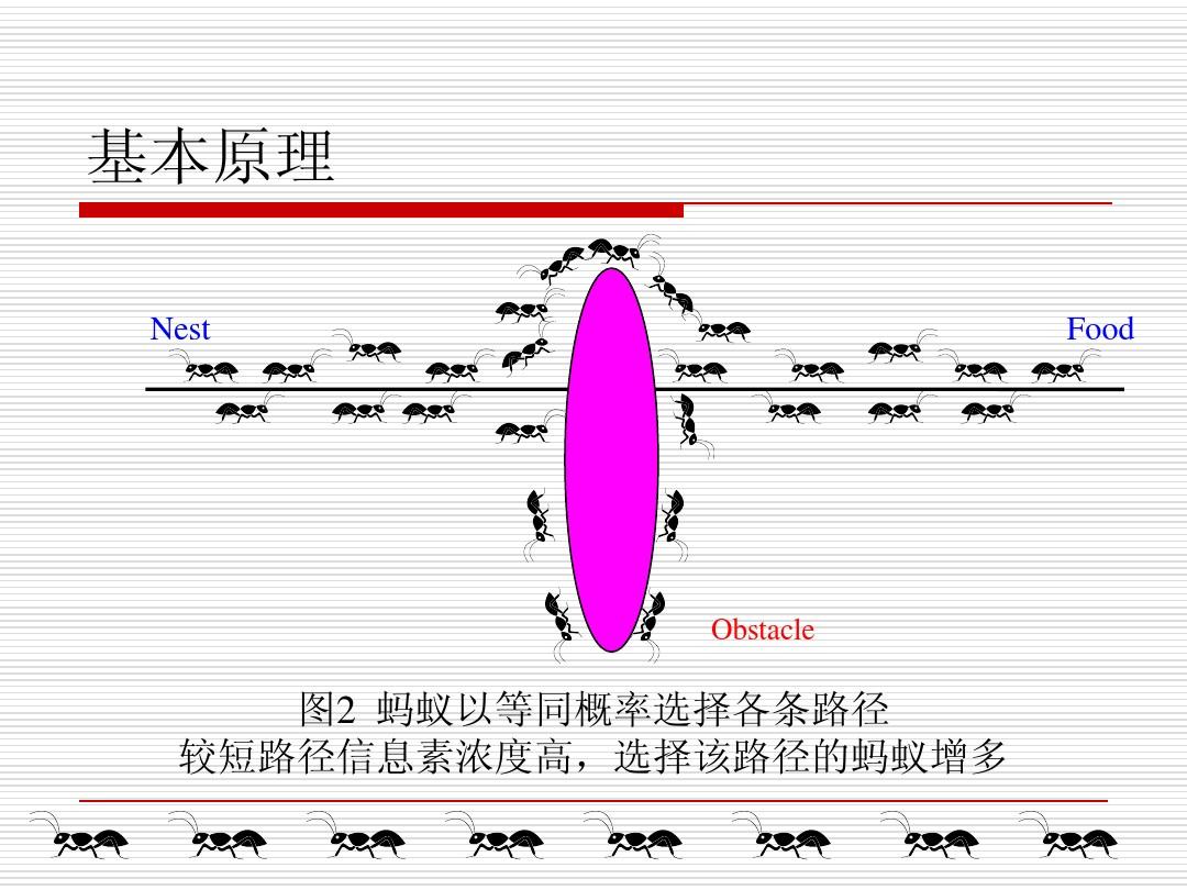 蚂蚁模拟器破解版中文版下载_蚂蚁模拟大亨_模拟蚂蚁