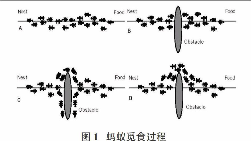 蚂蚁模拟大亨_蚂蚁模拟器破解版中文版下载_模拟蚂蚁