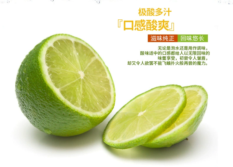 西檬_檬西女装的价位_檬西女装公司
