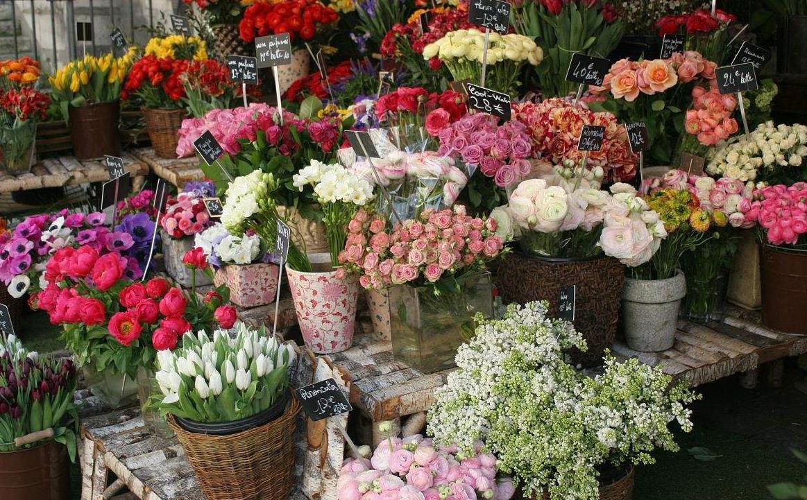 花店物语_花店物语_花店物语