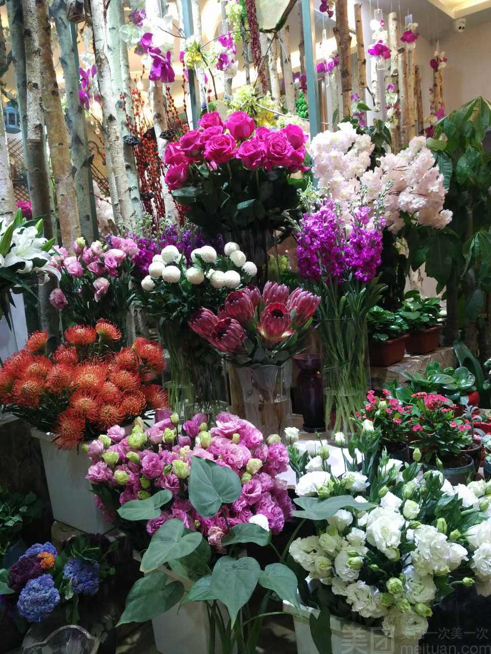 花店物语_花店物语_花店物语