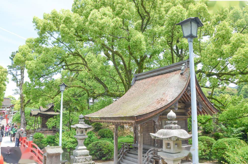 禁闭岛剧情解析_紧闭岛_禁闭岛剧情简介