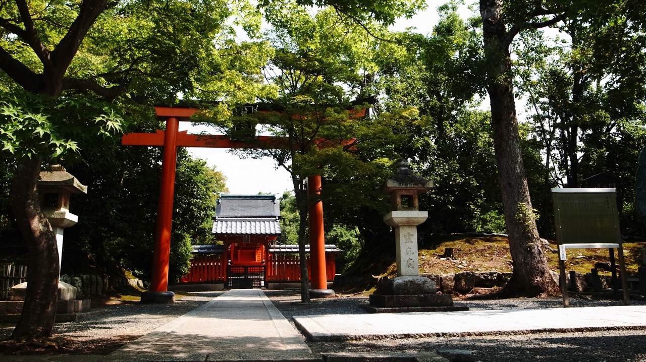 禁闭岛剧情解析_紧闭岛_禁闭岛剧情简介