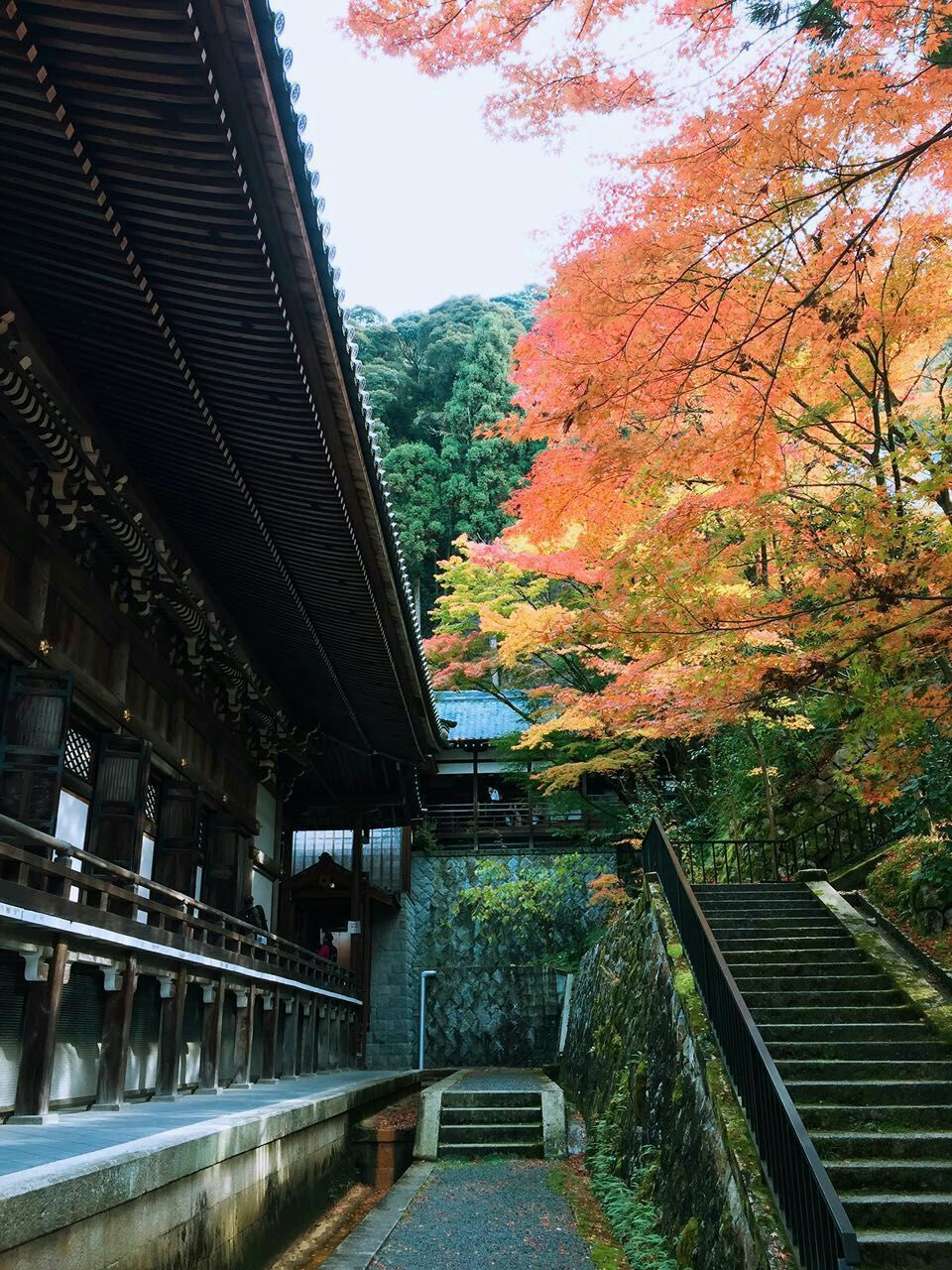 紧闭岛_禁闭岛剧情解析_禁闭岛剧情简介