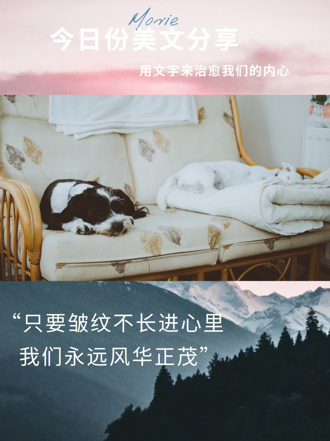 治愈星_永恒之塔治愈星_治愈星空图片