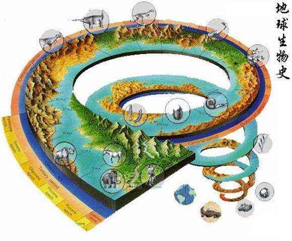 罗素月安排在哪里_罗素月_罗素月放在哪