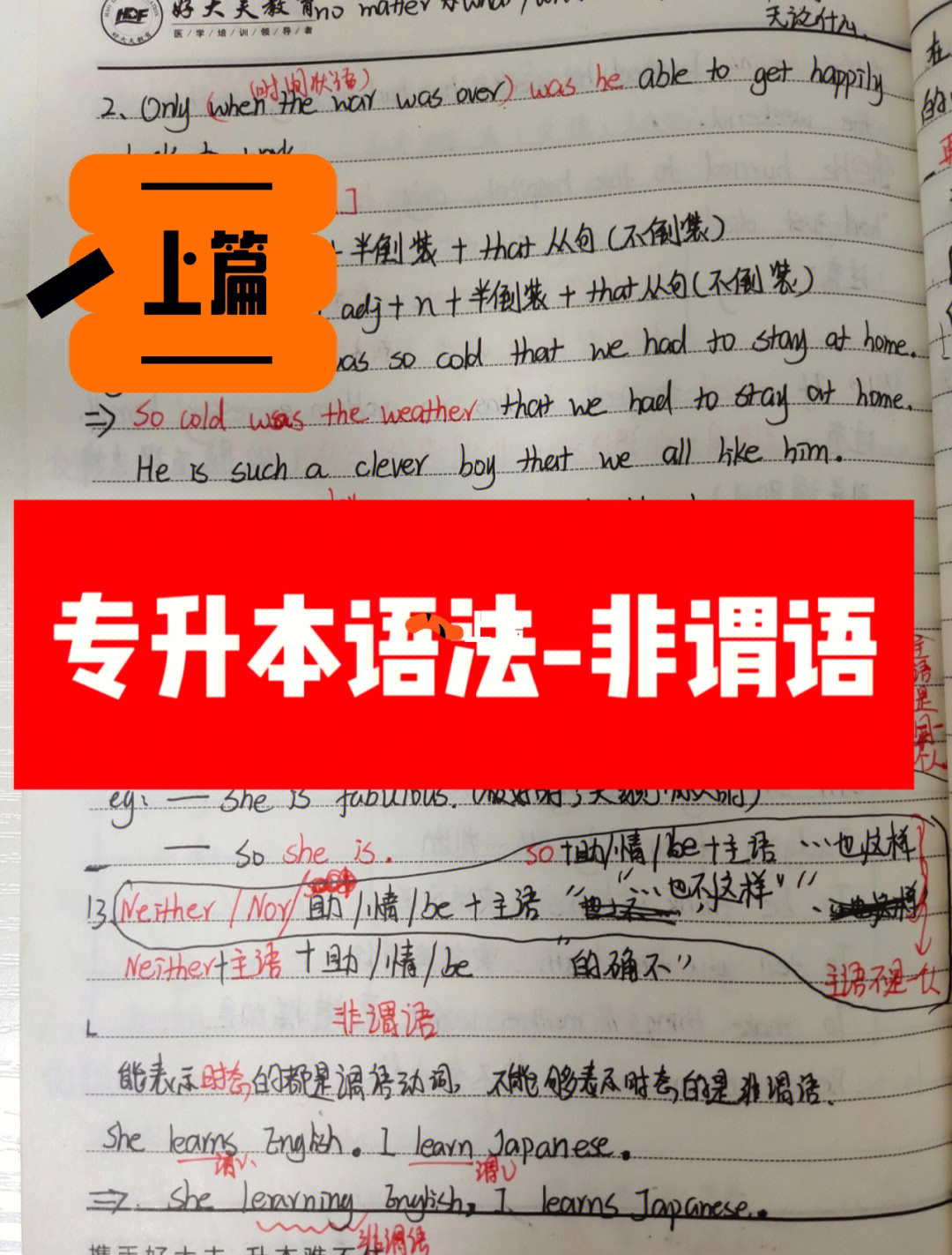 点亮智慧之光，沃拉尊引领无限智慧