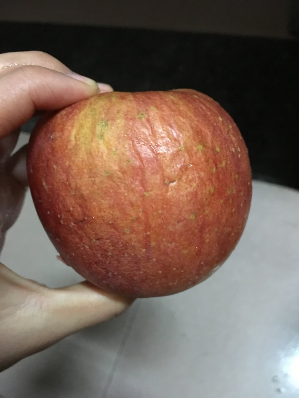 苹果接口叫什么_接苹果_苹果接电话声音小怎么解决