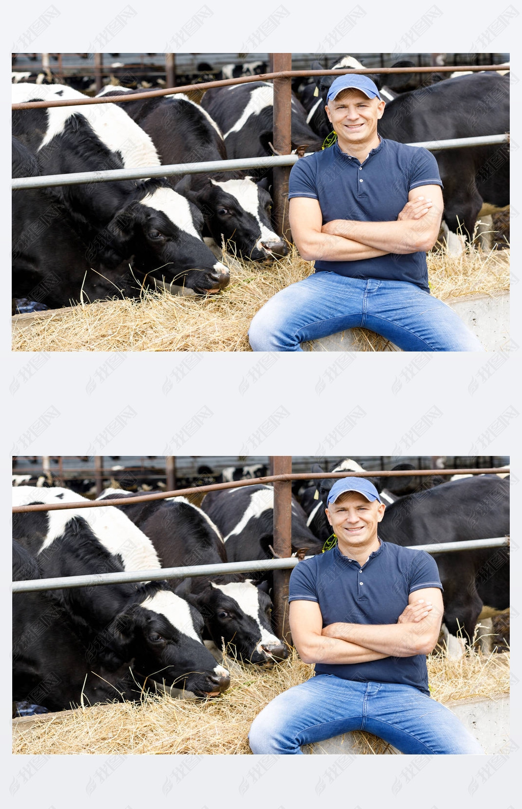 大奶牛_大奶牛_大奶牛