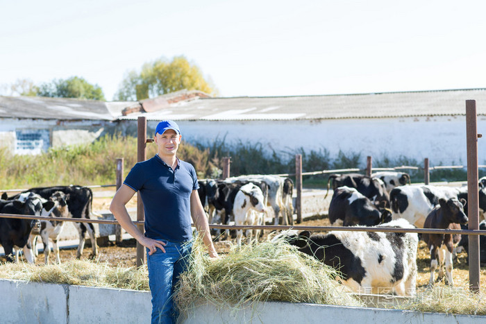 大奶牛_大奶牛_大奶牛