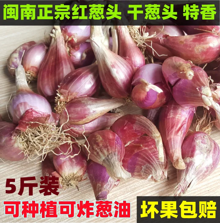 完美油葱商城_完美油葱商城下载安装_完美油葱商城app官方下载